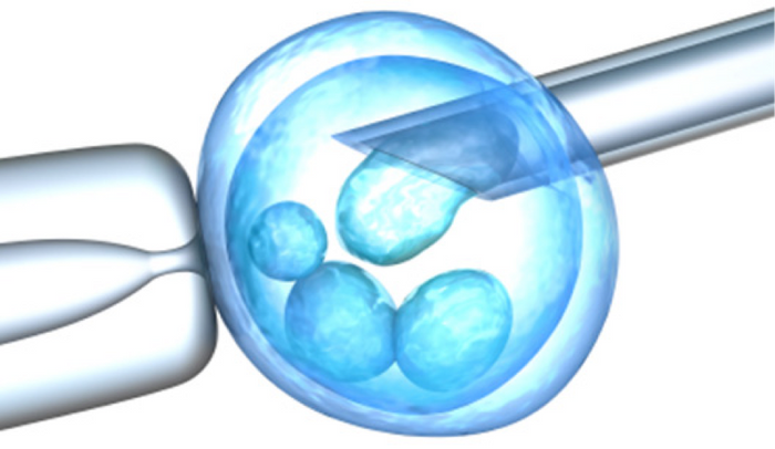 IVF | Medical College of Wisconsin