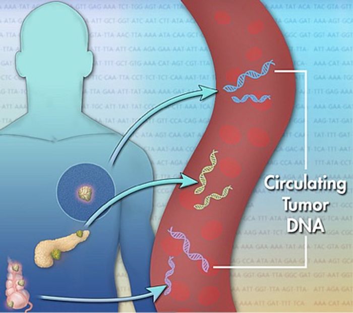 Circulating tumor DNA can help detect cancer's presence.