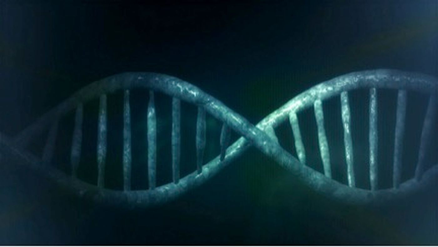 New blood test reveals DNA fragment footprints