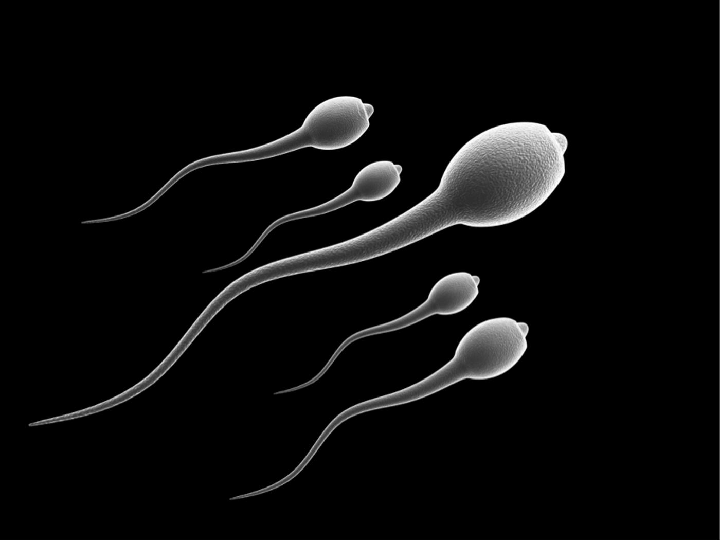 Scientists discover new ways to slow down sperm