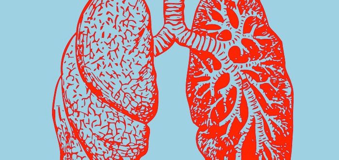 Scientists identify new growth factor involved in lung cancer proliferation