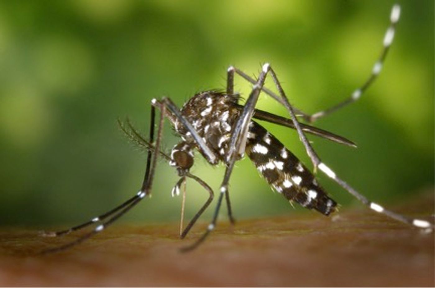 New test approved emergency use in Zika detection