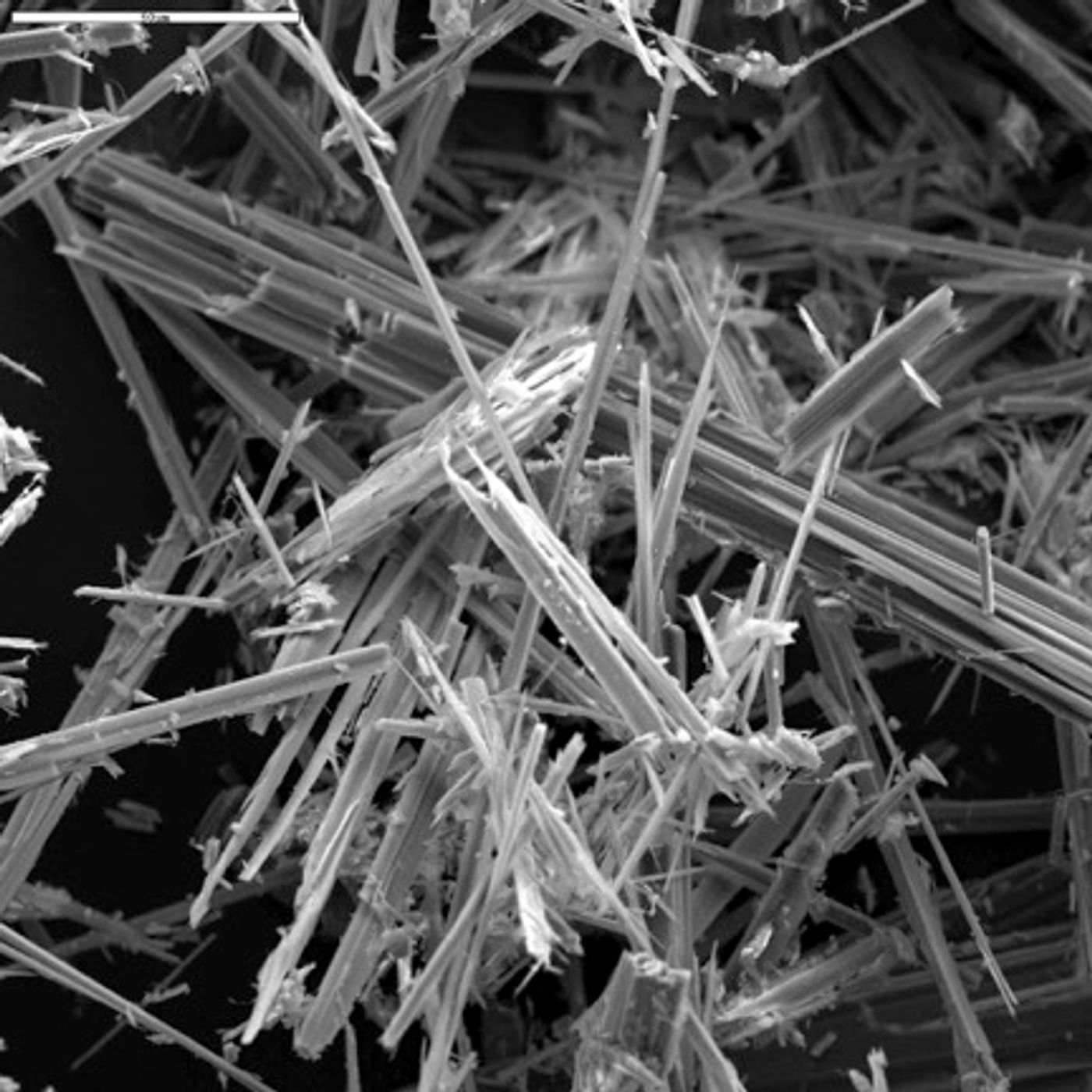 Asbestos fibers