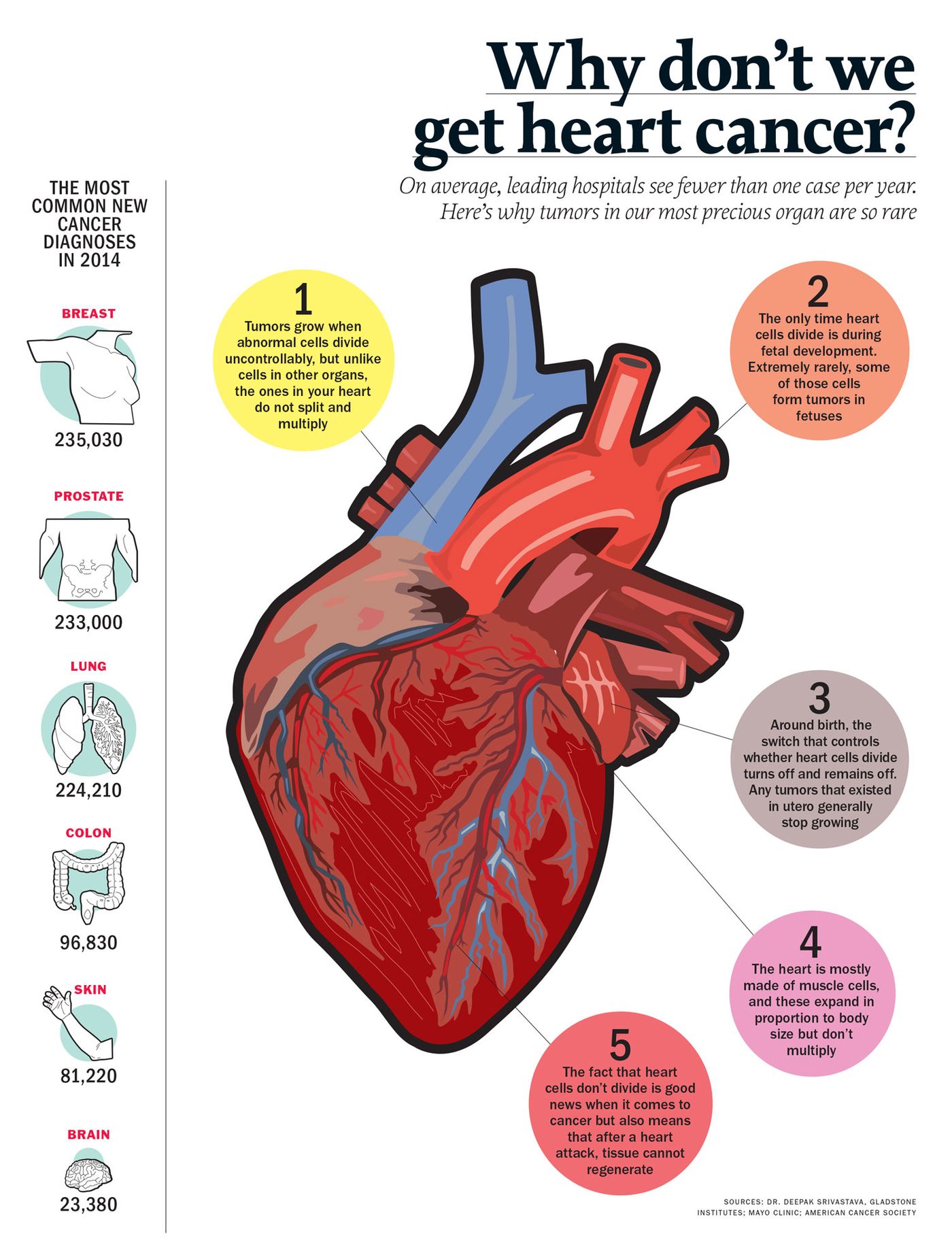 Can You Get Heart Cancer?