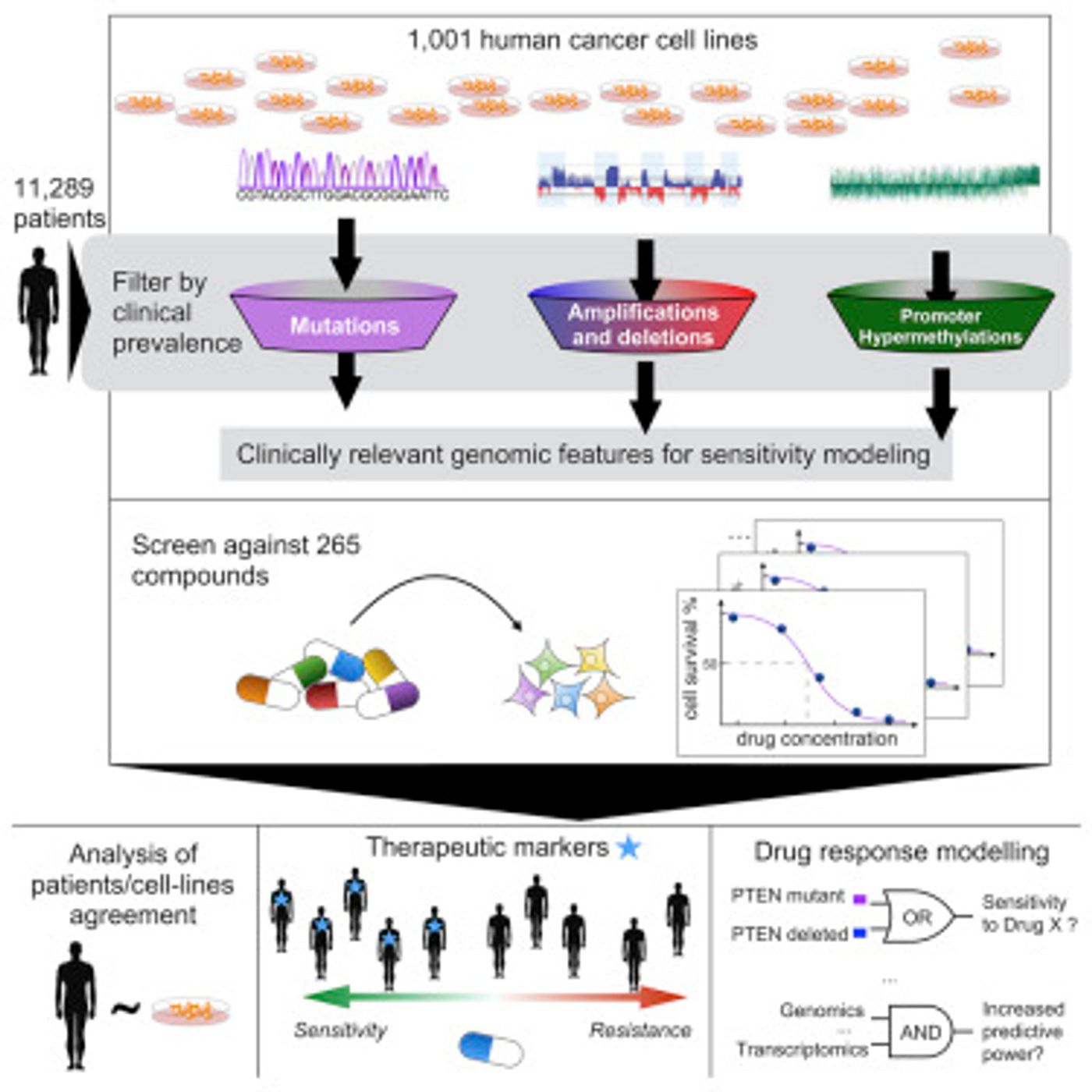 Image: Iorio et al./Cell 2016