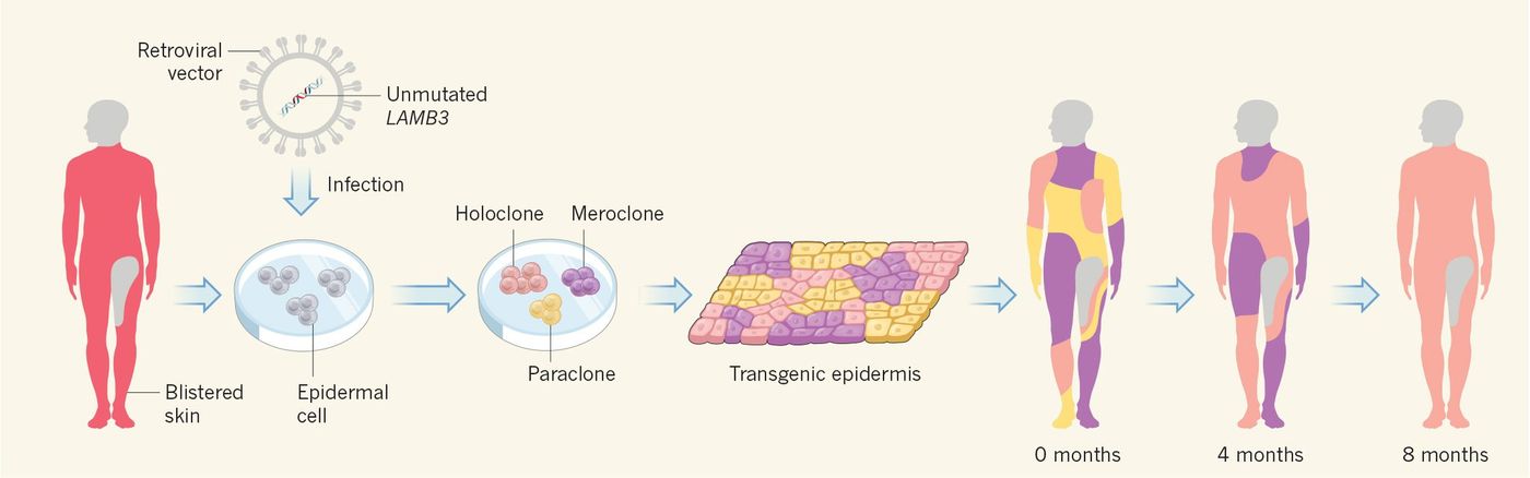 Image credit: Nature News & Views