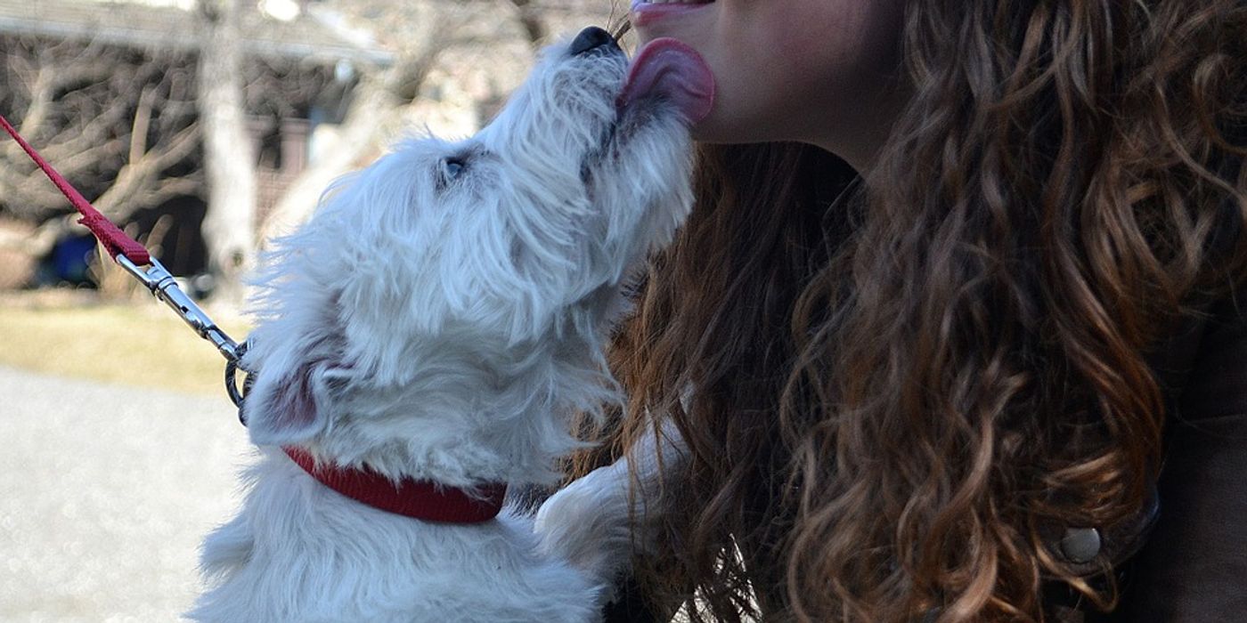 Doggy kisses sent a woman to the hospital with sepsis | Image: pixabay.com