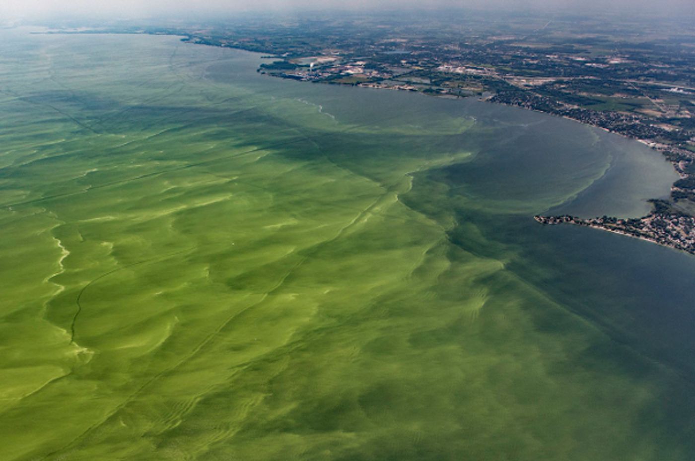 An aerial shot of Lake Erie under attack by an algal bloom. Photo: Alliance for the Great Lakes