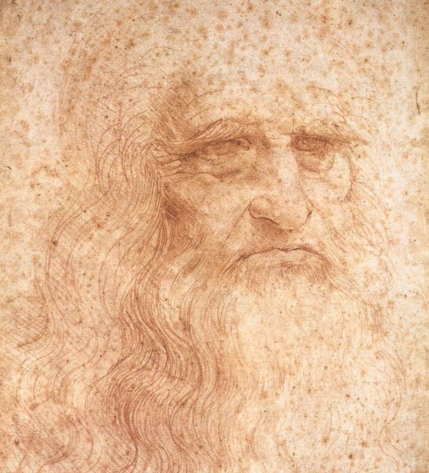 da Vinci's self portrait is covered in "foxing spots".