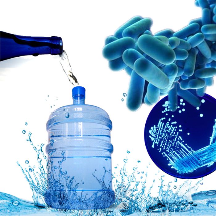 Legionella bacteria are transferred through the water supply.