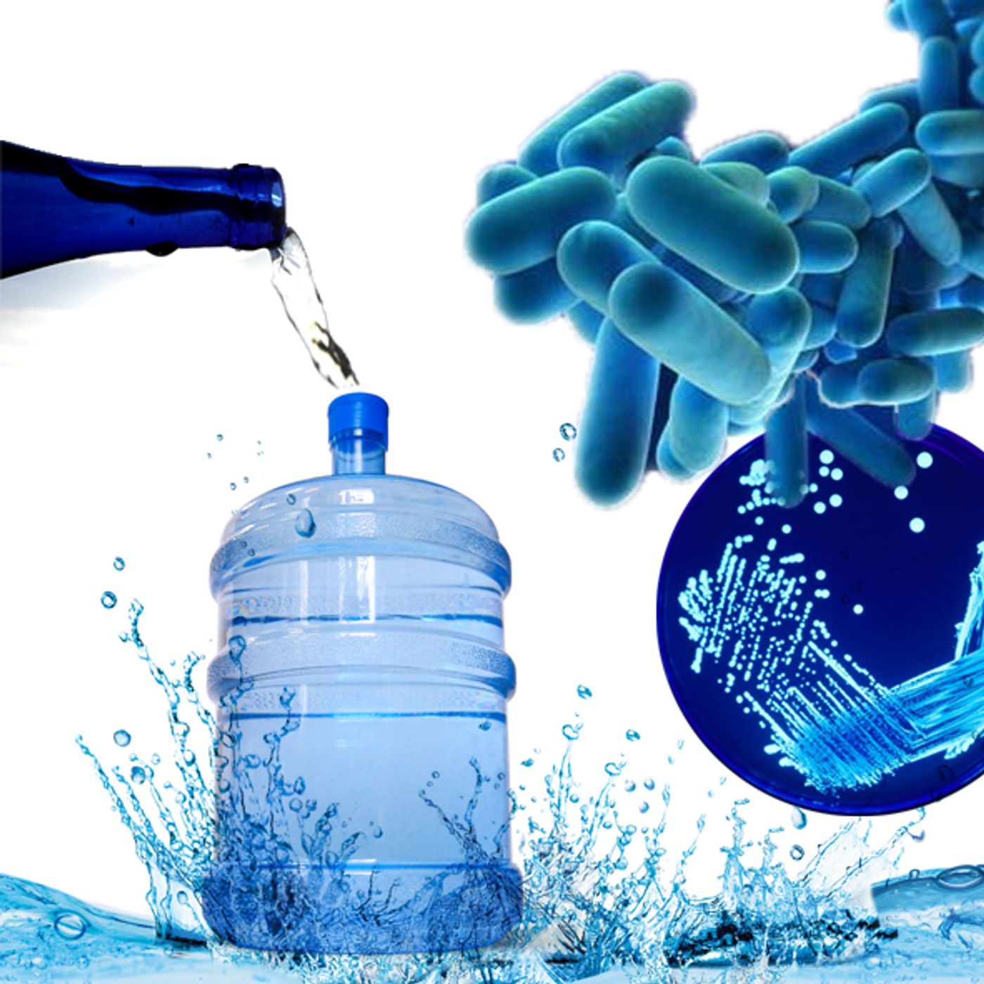 Legionella bacteria are transferred through the water supply.