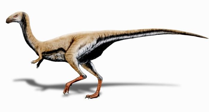 An artist's concept of the Limusaurus, which exhibits a keratin-based beak.