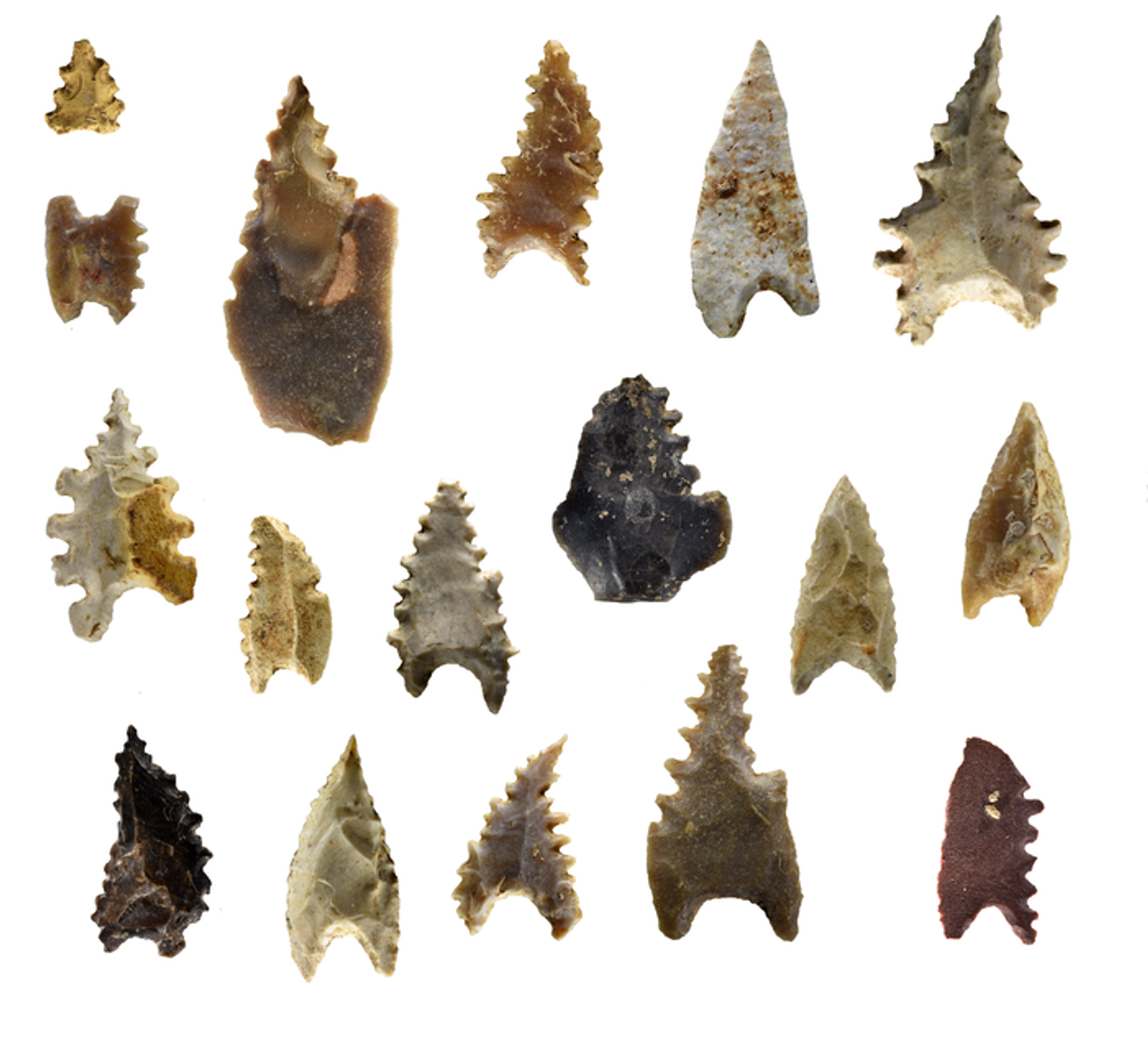 Stone arrowheads called Maros points are up to 8,000 years old, and thought to be typical of the Toalean techno-complex created by the people living on Sulawesi. / Credit: Yinika L Perston