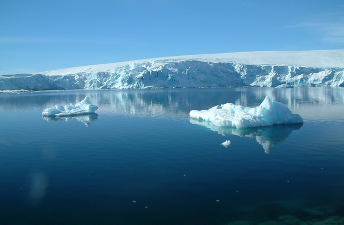  The waters around Anvers Island, Antarctica, home to Synoicum adareanum. / Credit: Alison E. Murray, DRI