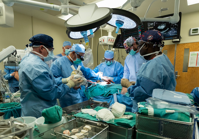 Cardiothoracic surgeons with UofL Health - Jewish Hospital and the University of Louisville performed a Aeson® bioprosthetic total artificial heart implantation in a female patient on Sept. 14, 2021. / Credit: UofL Health