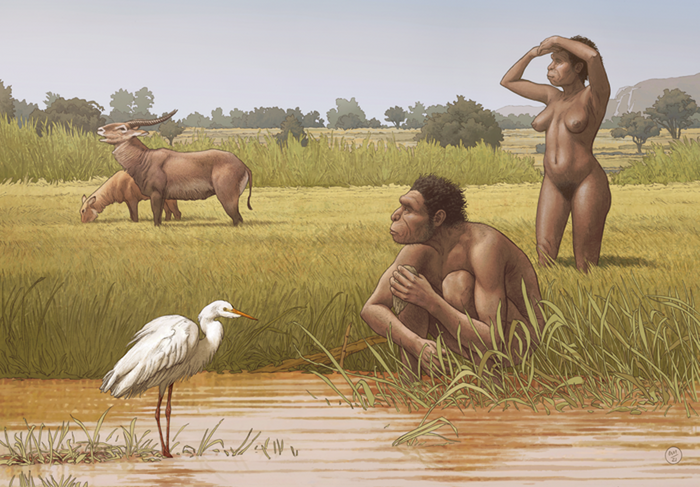 Homo bodoensis, a new species of human ancestor, lived in Africa during the Middle Pleistocene. / Credit: Ettore Mazza