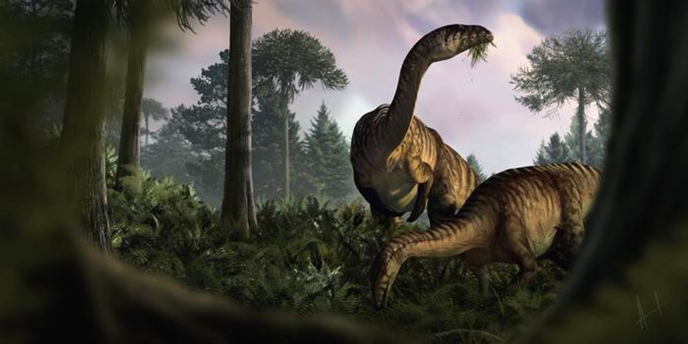 A duo of sauropodomorphs; one munching on the newly evolved plants in a wet Early Jurassic environment whilst the other is looking up as if there was something hiding in the vegetation. / Credit  Marcin Ambrozik