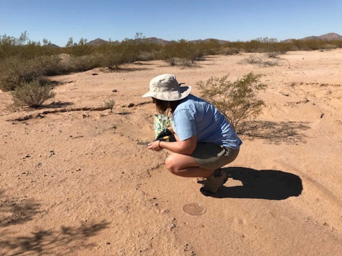 Julie Bethany Rakes noticed something amiss in plaques, where cyanobacteria had disappeared. She continued investigating. / Credit: Photo courtesy of Julie Bethany Rakes