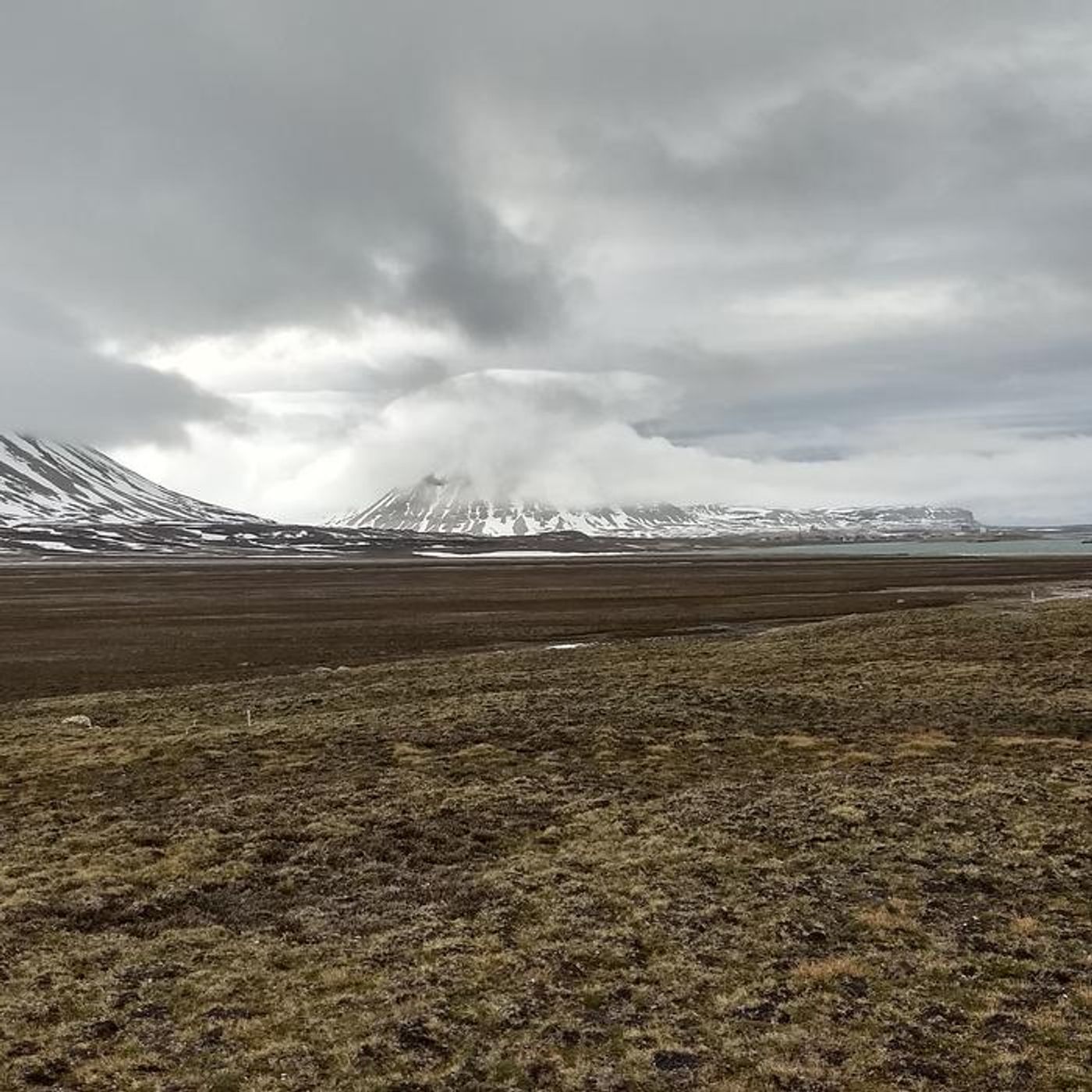 Arctic Clouds and Climate Change: Unveiling the Role of Biological ...