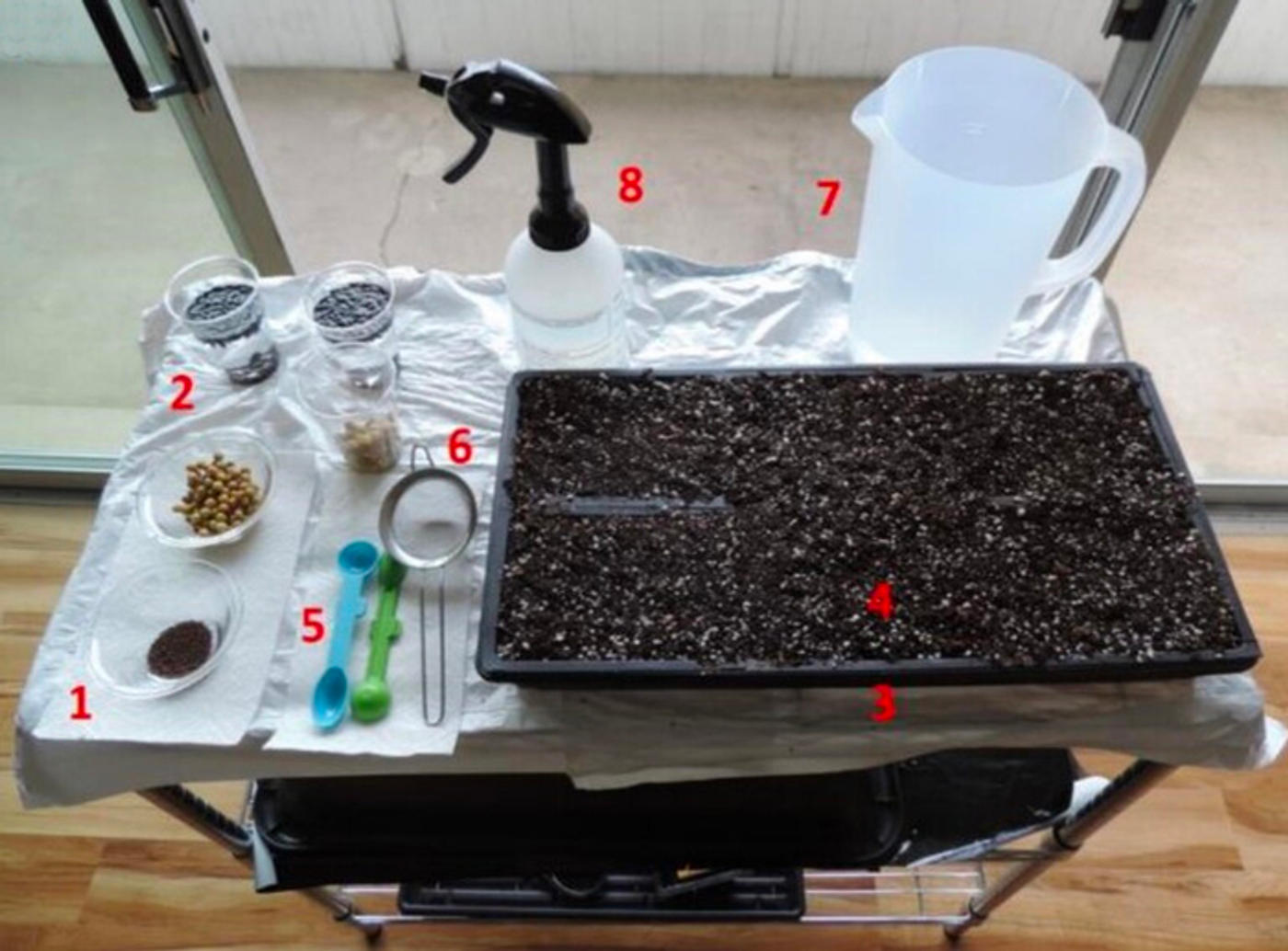 The basics for micro green cultivation at home: 1) seeds, 2) small cups to soak seeds in water, 3) growth trays, 4) growing medium, 5) measuring cups for seeds, 6) colander, 7) pitcher, and 8) spray bottle. / Credit: Francesco Di Gioia, Penn State