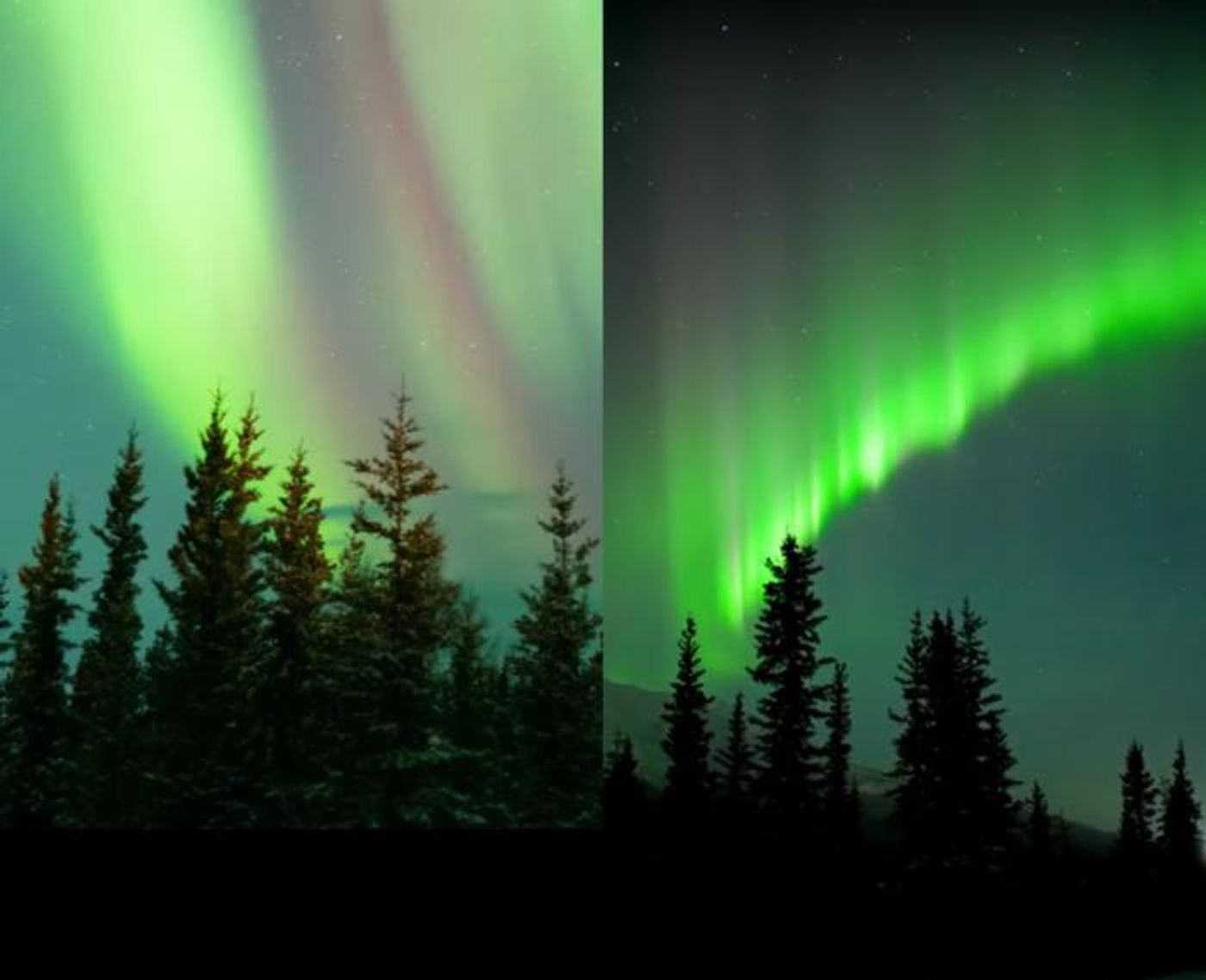 A normal aurora (left) consists of glowing curtains of red, green and blue. An enhanced aurora (right) contains a thin, brighter layer which exhibits much more green, possibly caused by the same physical process that creates Steve and the picket fence. / Credit: Vincent Ledvina, theauroraguy.com