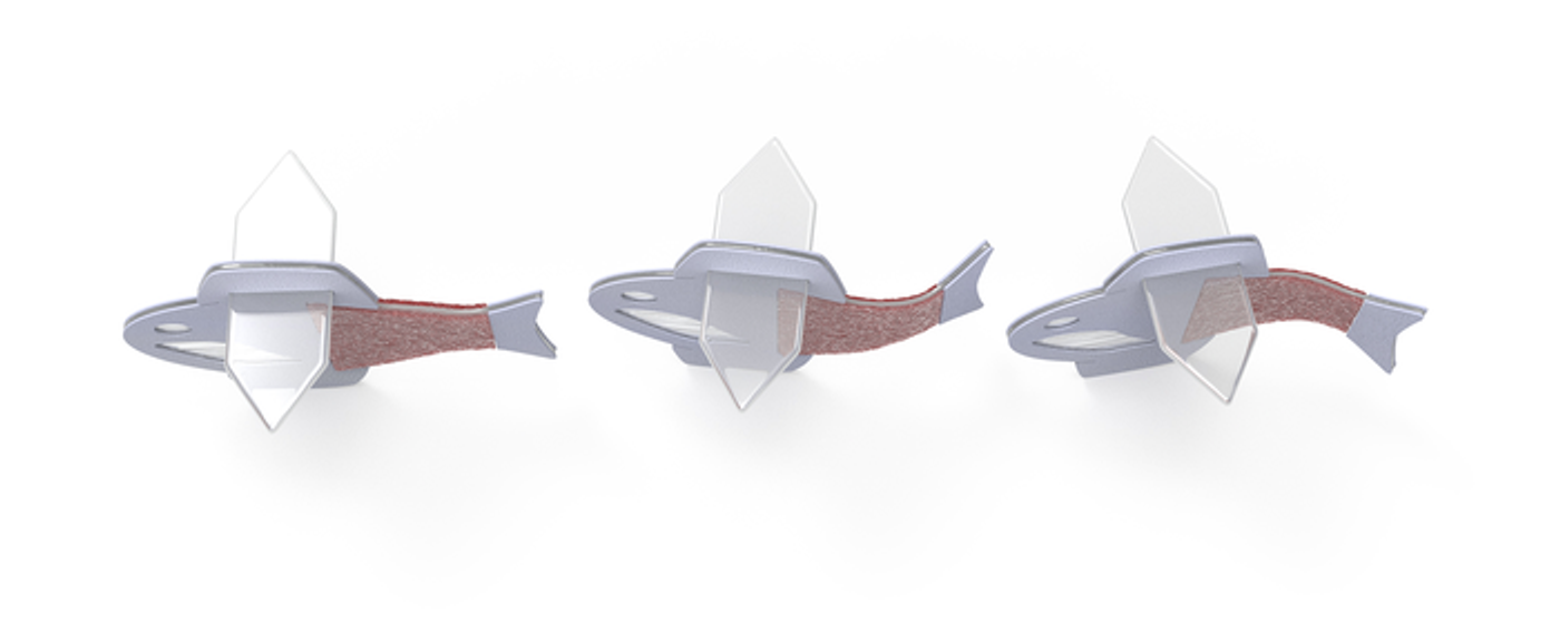 Schematics of autonomously swimming biohybrid fish / Credit: Michael Rosnach, Keel Yong Lee, Sung-Jin Park, Kevin Kit Parker