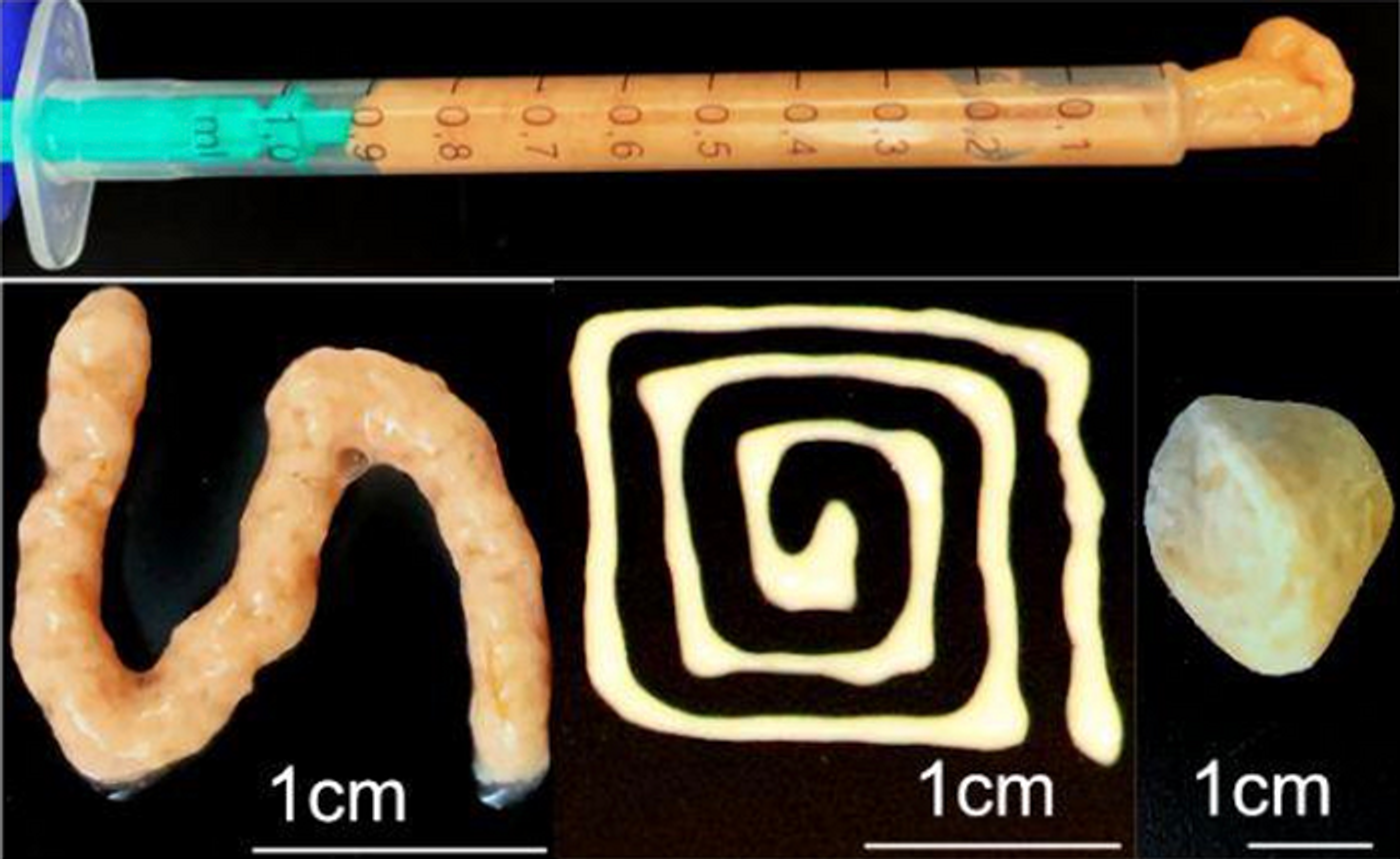 Engineered living materials developed at Rice University can be customized for a variety of applications, including environmental remediation or as custom catalysts. Credit: Sara Molinari/Ajo-Franklin Research Group