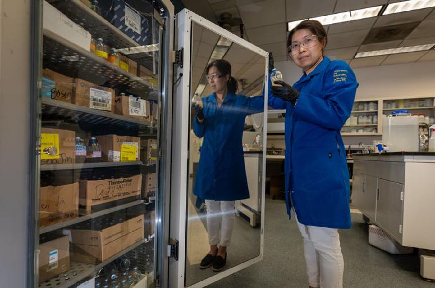 UC Riverside associate professor Yujie Men at an incubator filled with bacteria culture bottles. / Credit: Stan Lim/UC Riverside