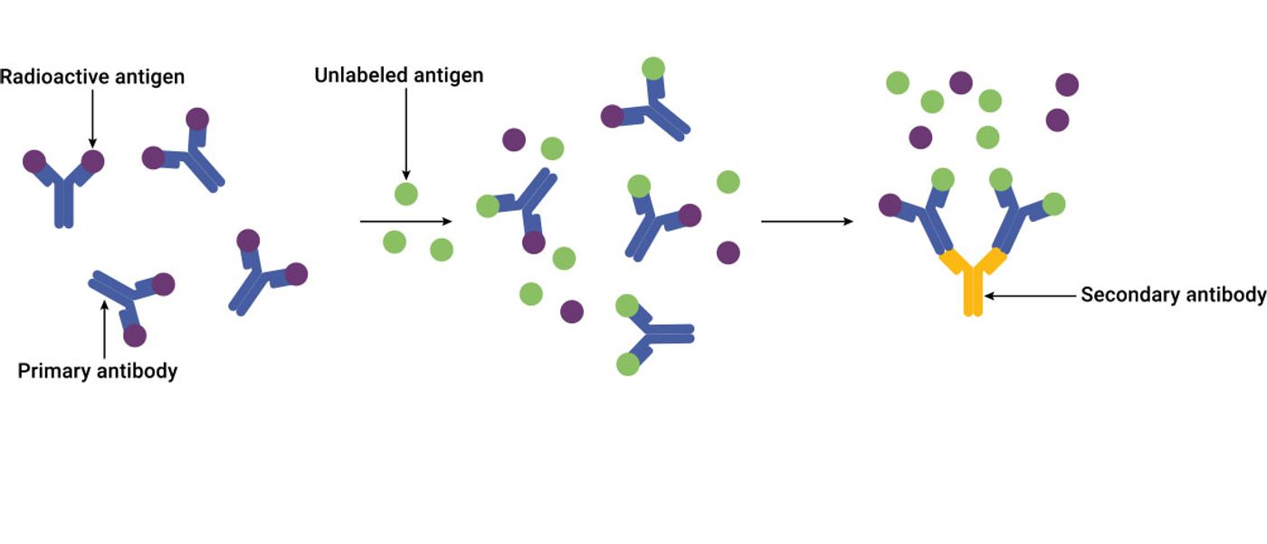 Are You Using the Right Immunoassay for Your Application? | Clinical ...