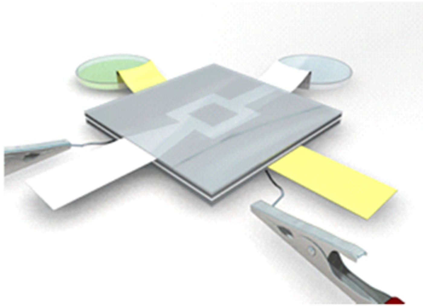 The device allows flow of the streams of Shewanella Oneidensis MR-1 (yellow) and the Potassium Ferricyanide (white) into the chambers. Proton exchange membrane is placed between the two chambers to separate the two liquids as well as allow the positively charged ions released in the biocatalytic breakdown of the anolyte to flow from the anode to the cathode. Credit: TECHNOLOGY