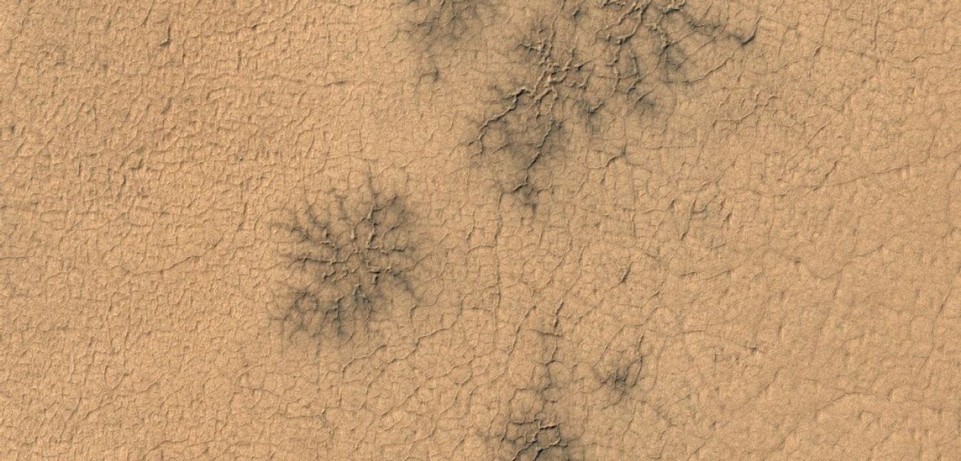 These spider-like cracks in the Martian surface are known as araneiforms.