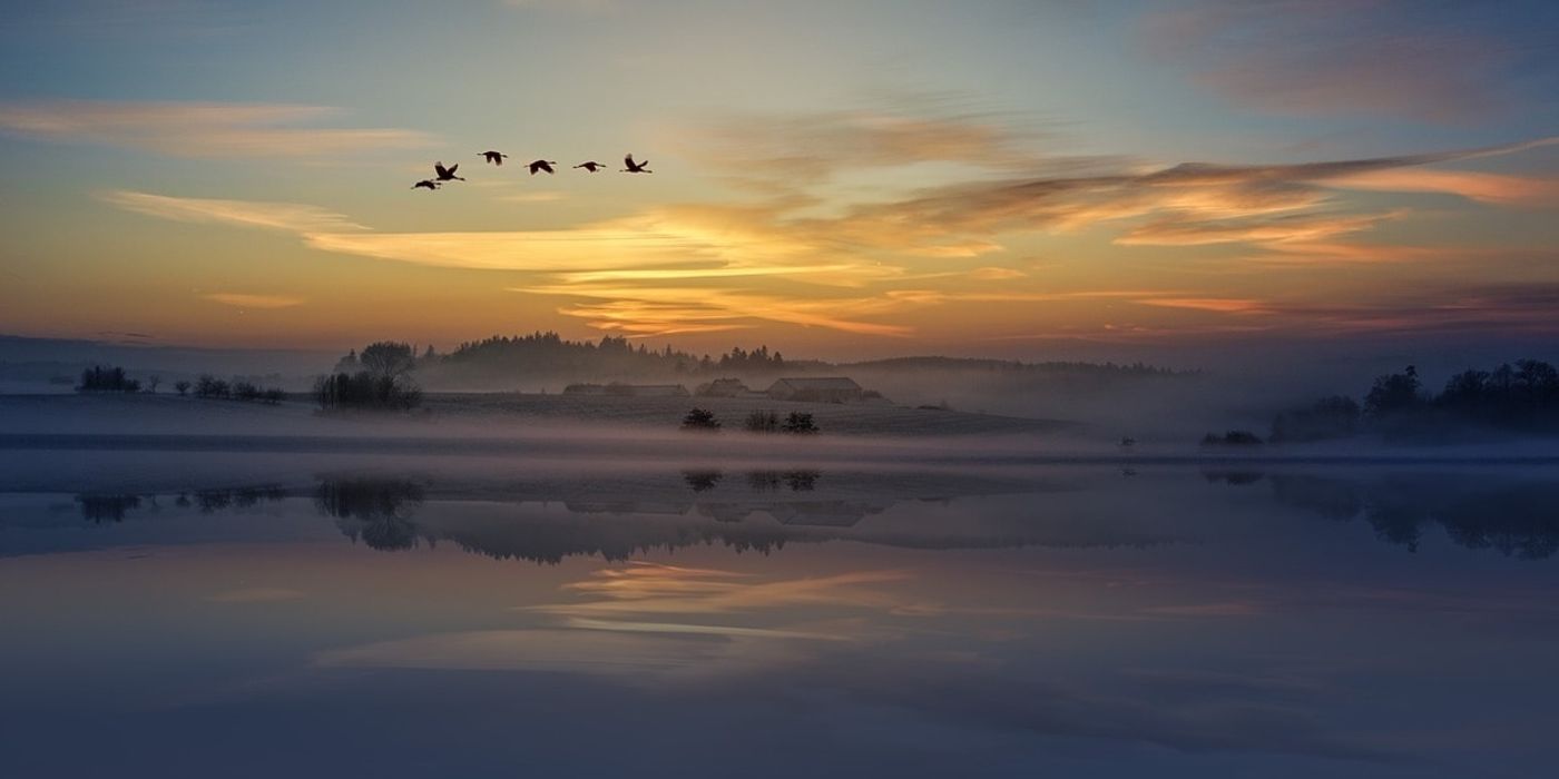 Many birds wait until nighttime to migrate.