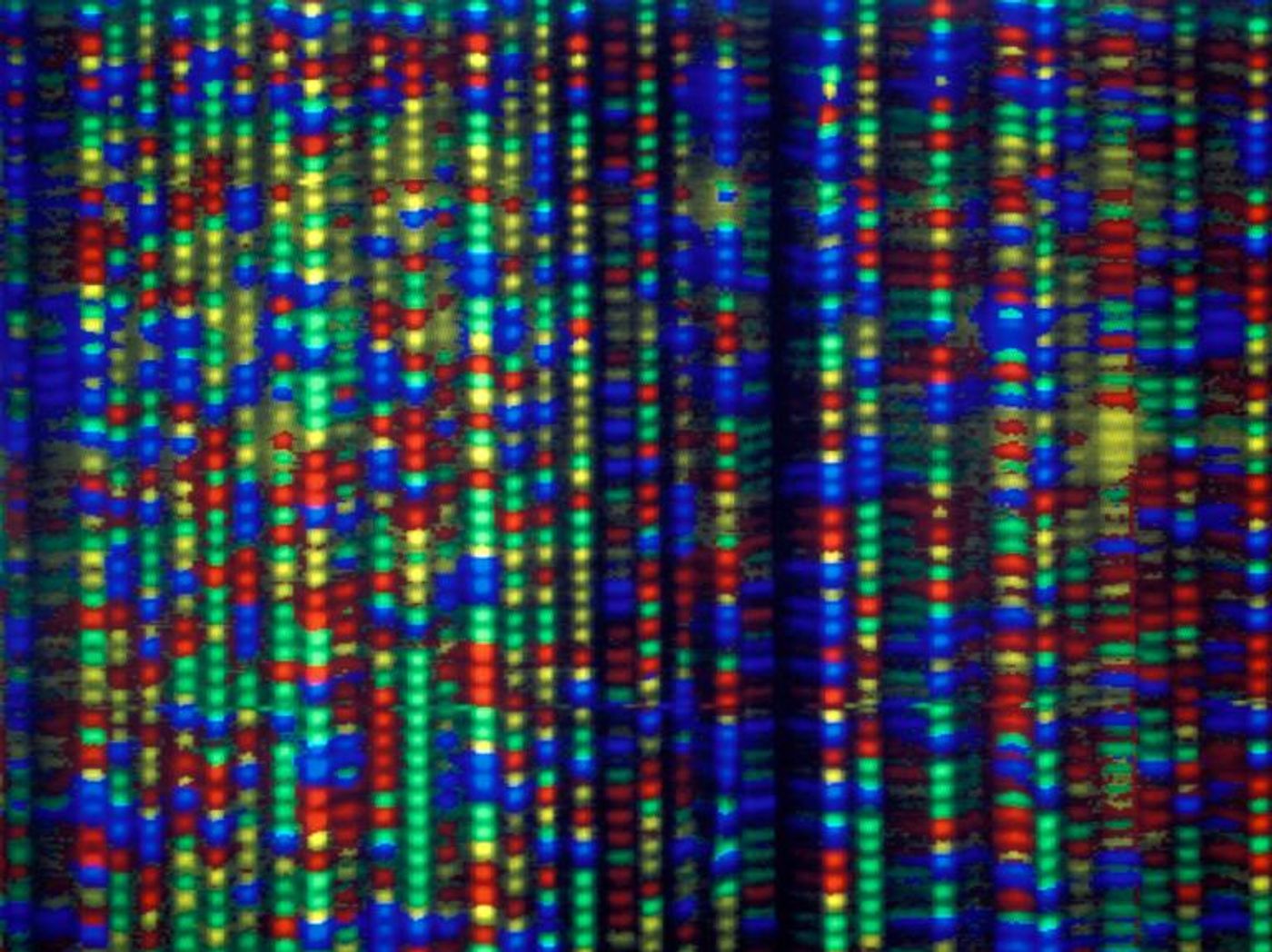 Labelled strands of DNA