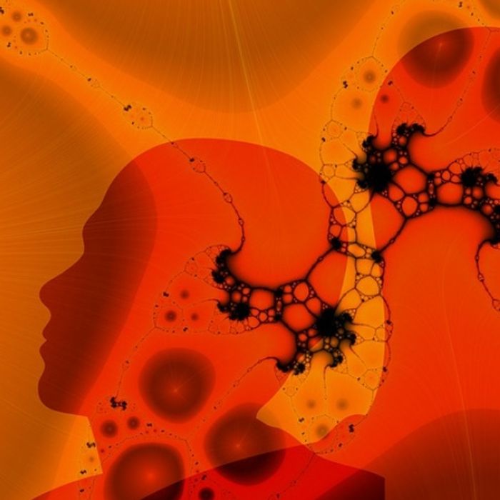 How Does Time Work in the Brain? Neuroscience