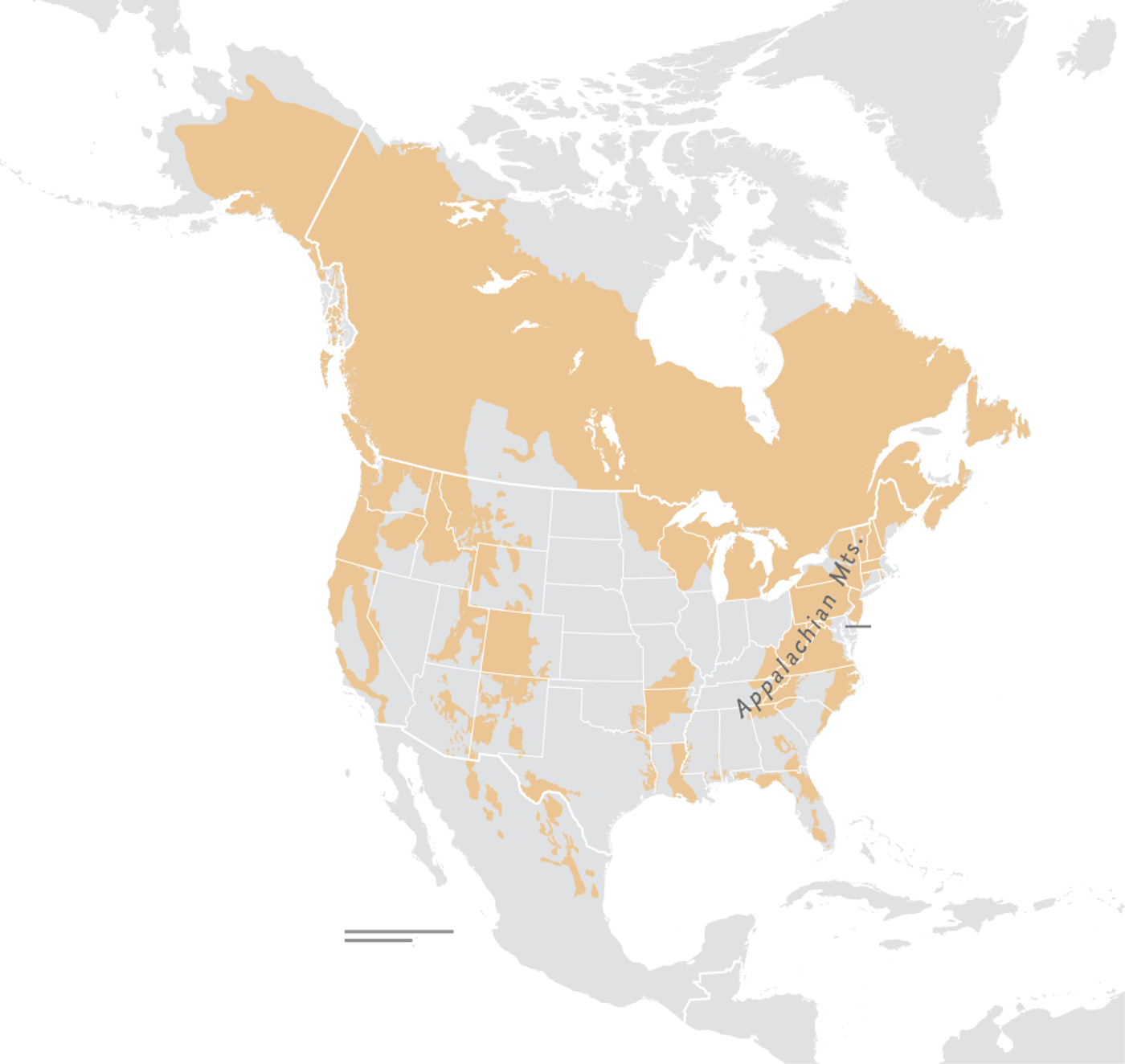 American black bear range