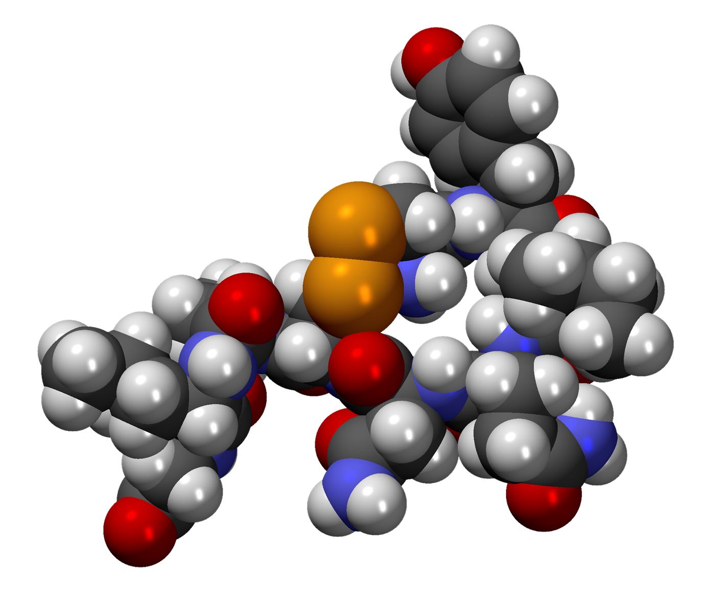 Oxytocin