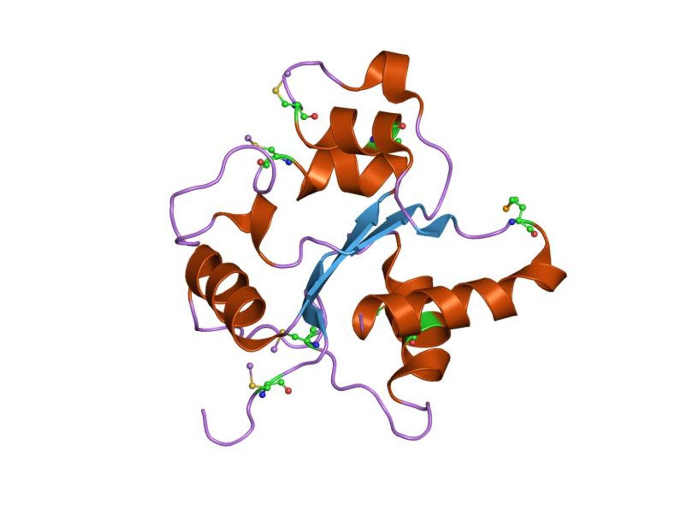 Toll-like receptor 2 (TLR2). Credit: European Bioinformatics Institute