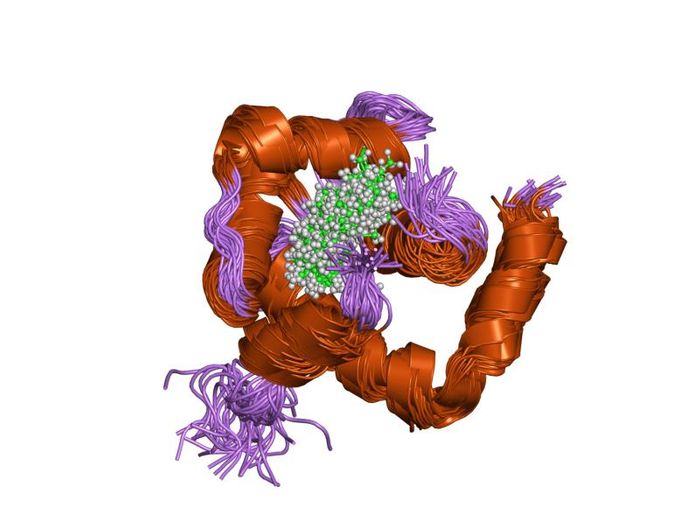 A representation of the molecular structure of the troponin protein. Credit: European Bioinformatics Institute
