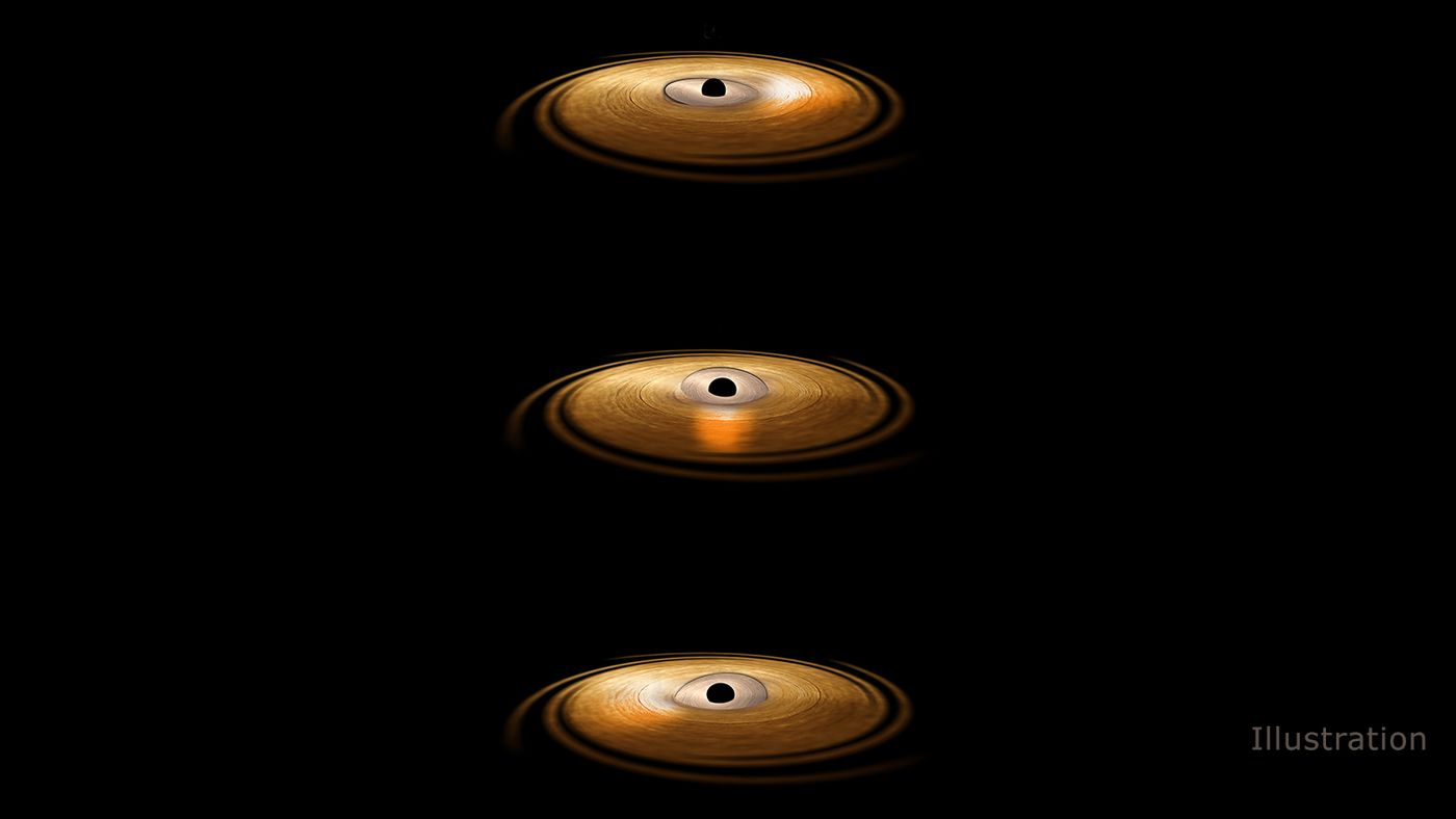 Astronomers observe a wobble in a black hole's accretion disc.