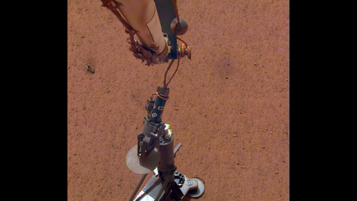 The InSight lander's heat flow probe after being set on the ground to begin digging.