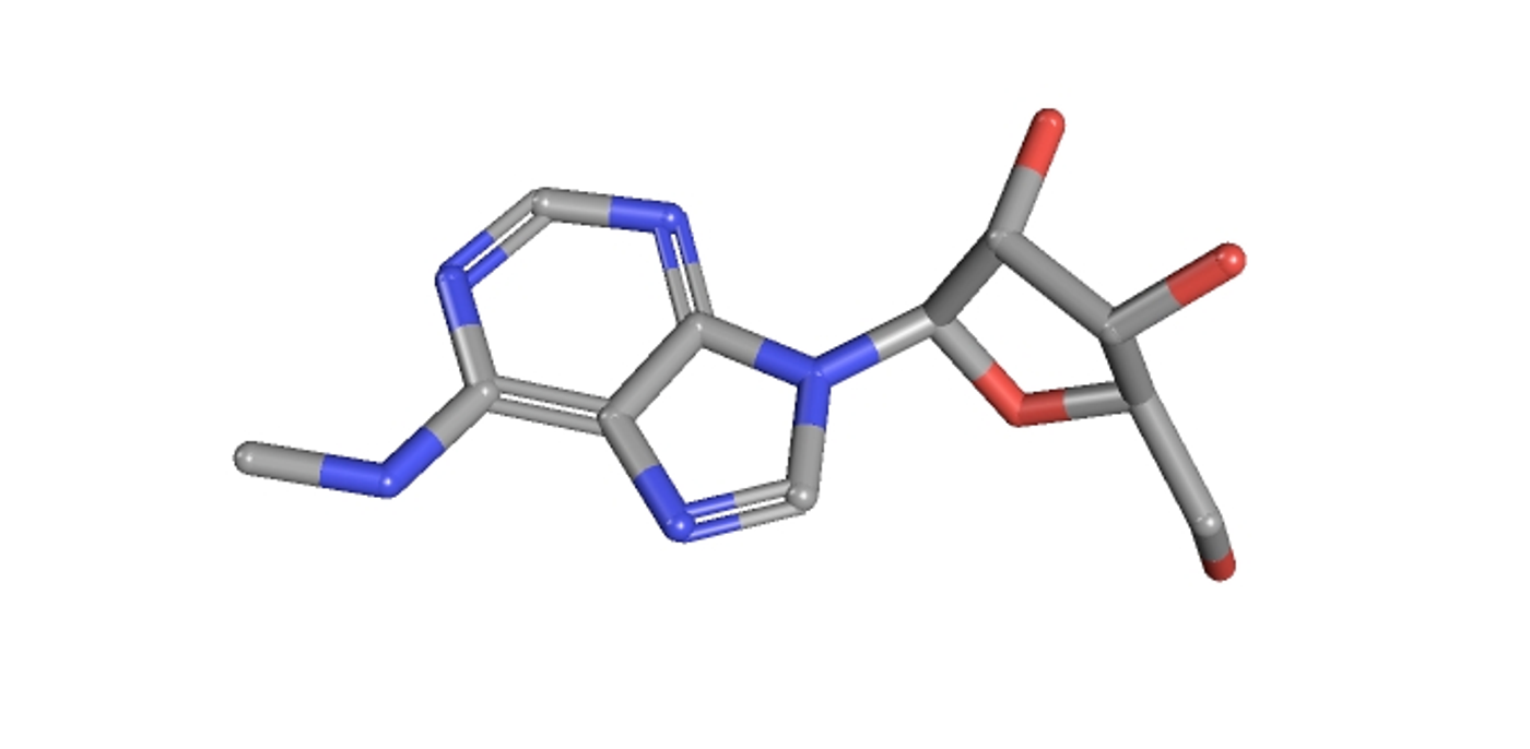 N6-Methyladenosine / Credit: PubChem