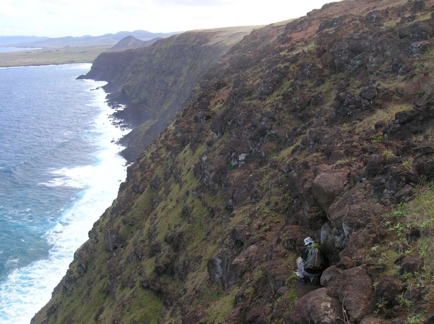 Searching cliff faces for native insects along the southern coast of Poike Volcano. (Credit: Rafael Rodriguez Brizuela)