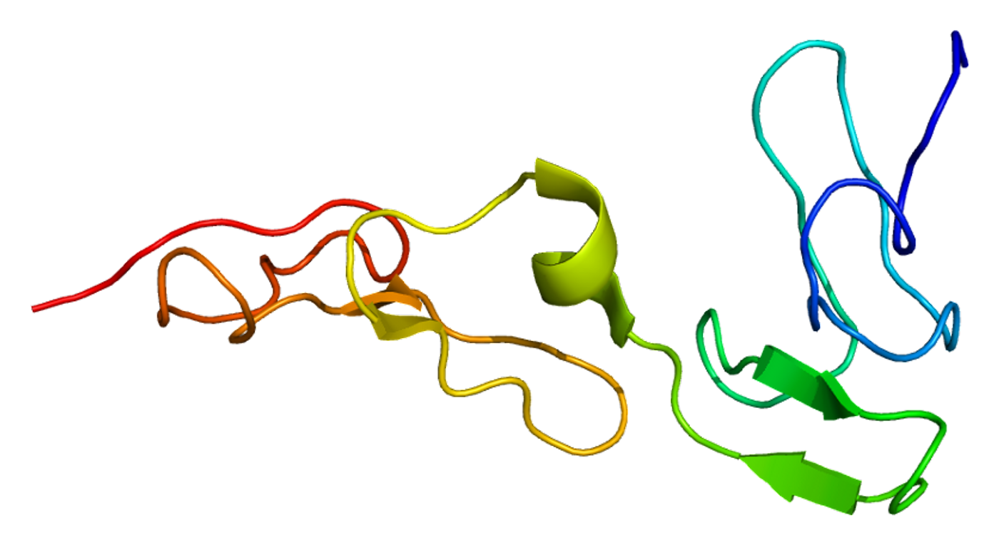 Protein S, from Wikipedia