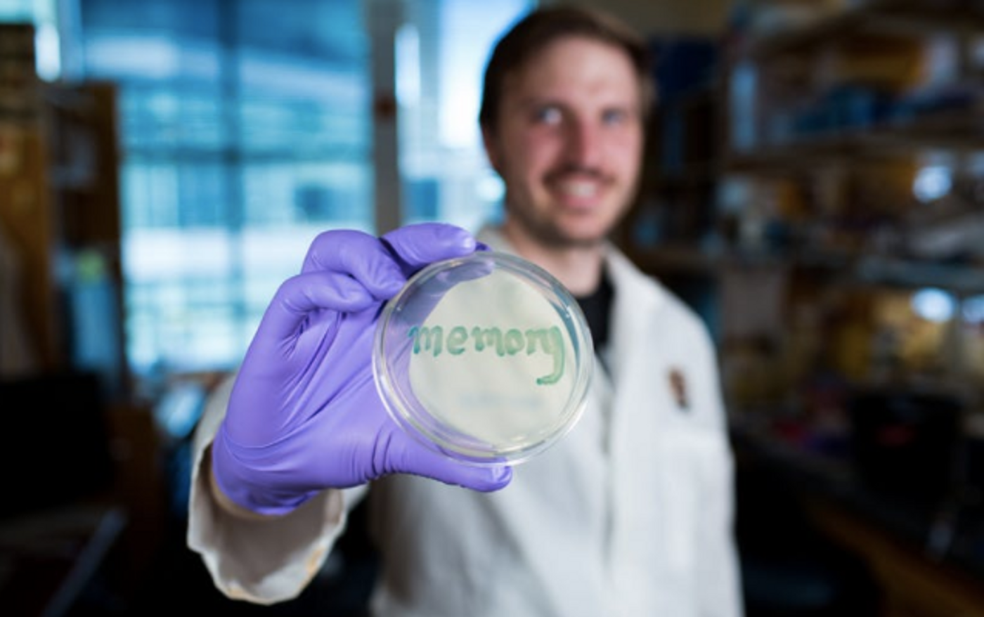David Riglar, first author, holds a petri dish with engineered bacteria exposed to inflammation signals. The bacteria turn blue when the memory switch is on and the reporter gene β-galactosidase converts the X-Gal substrate to a blue precipitate. / Credit: Wyss Institute at Harvard University