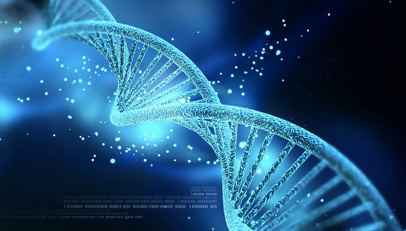 DNA / Credit: Nogas1974/Wikipedia