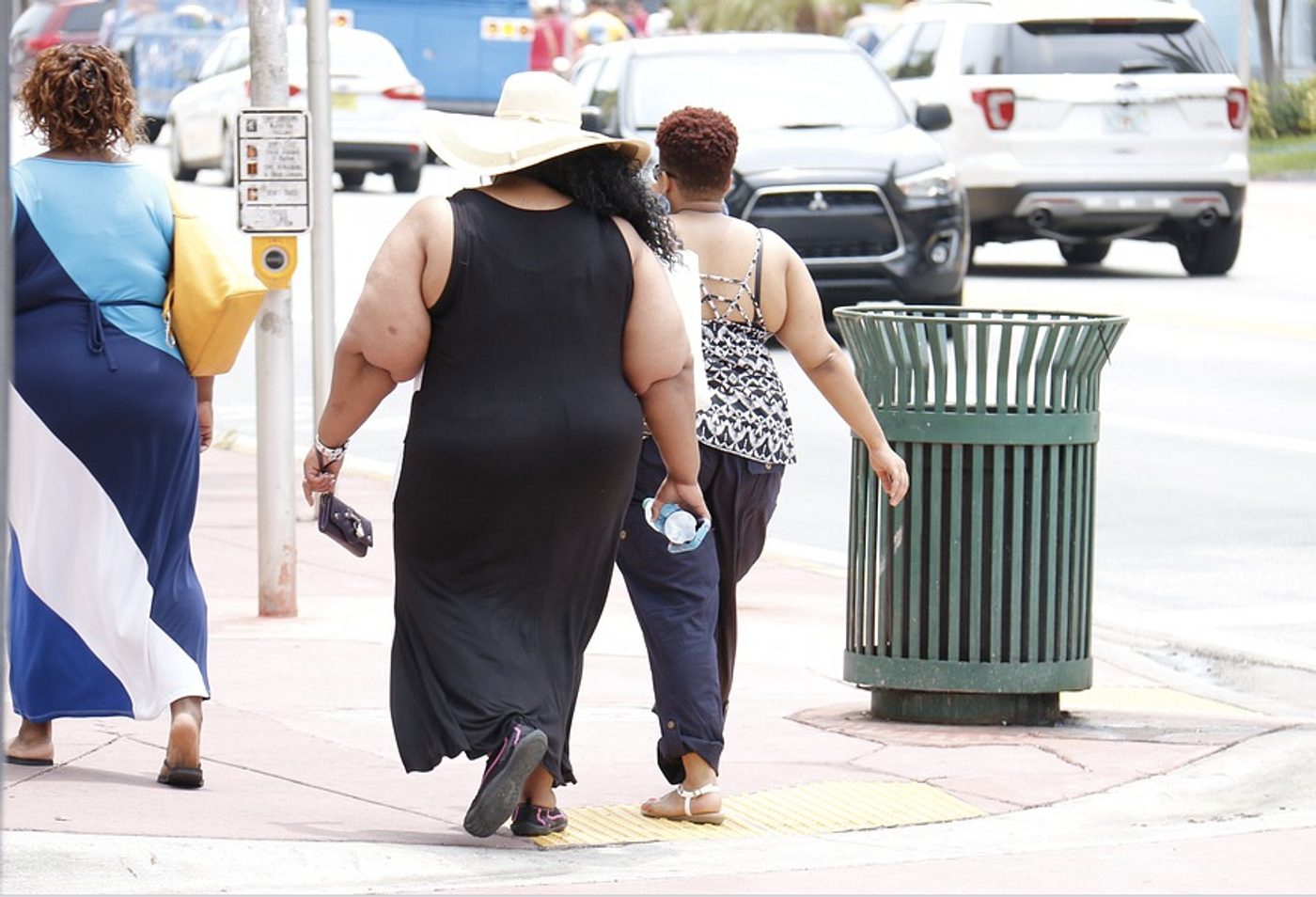 Obesity is common in the United States / Credit: Pixabay