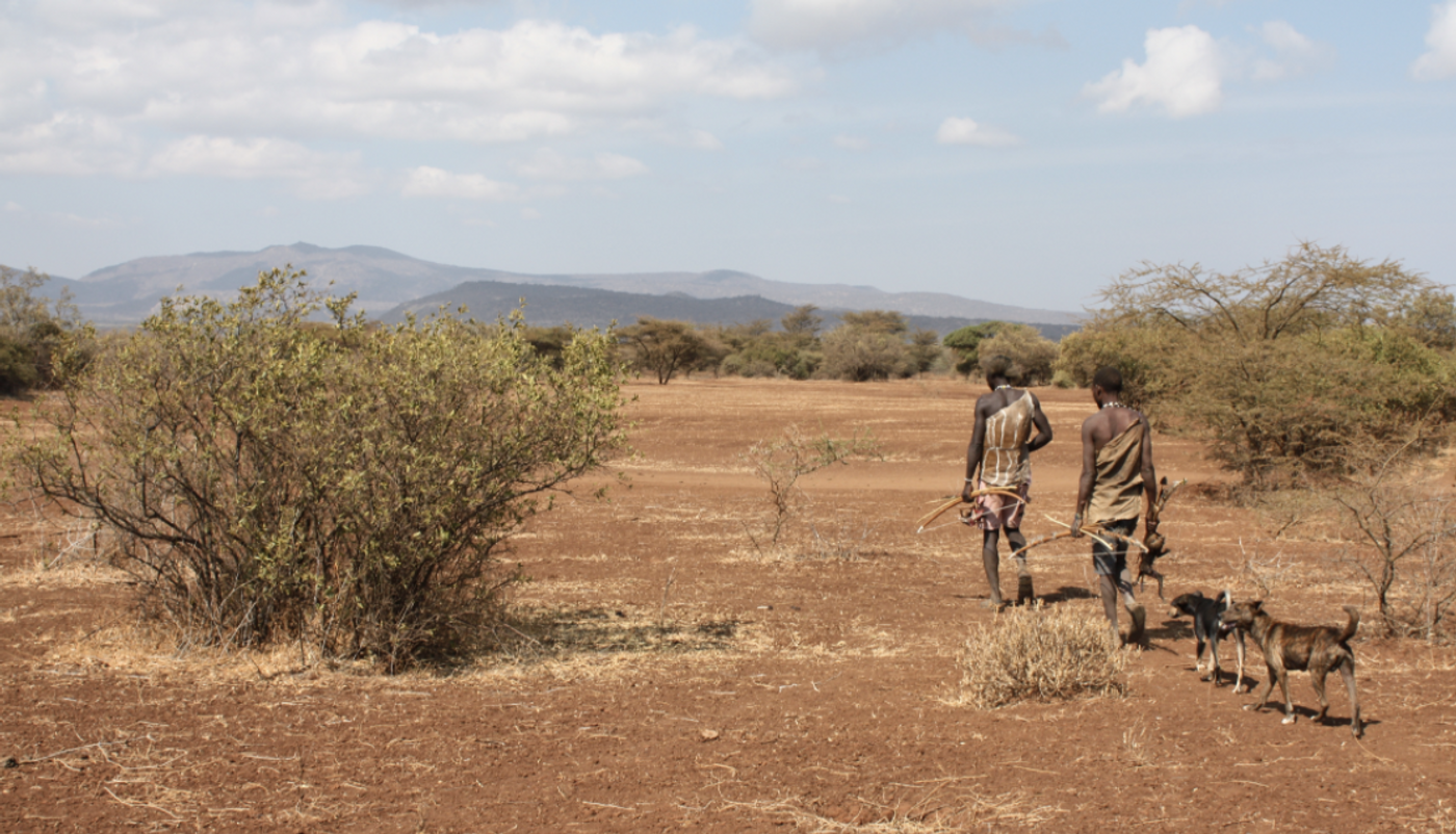 Two Hadzabe men in Tanzania walking, carrying bows and today's catch.Two dogs follow them./ Credit: Wikimedia Commons/Andreas Lederer 