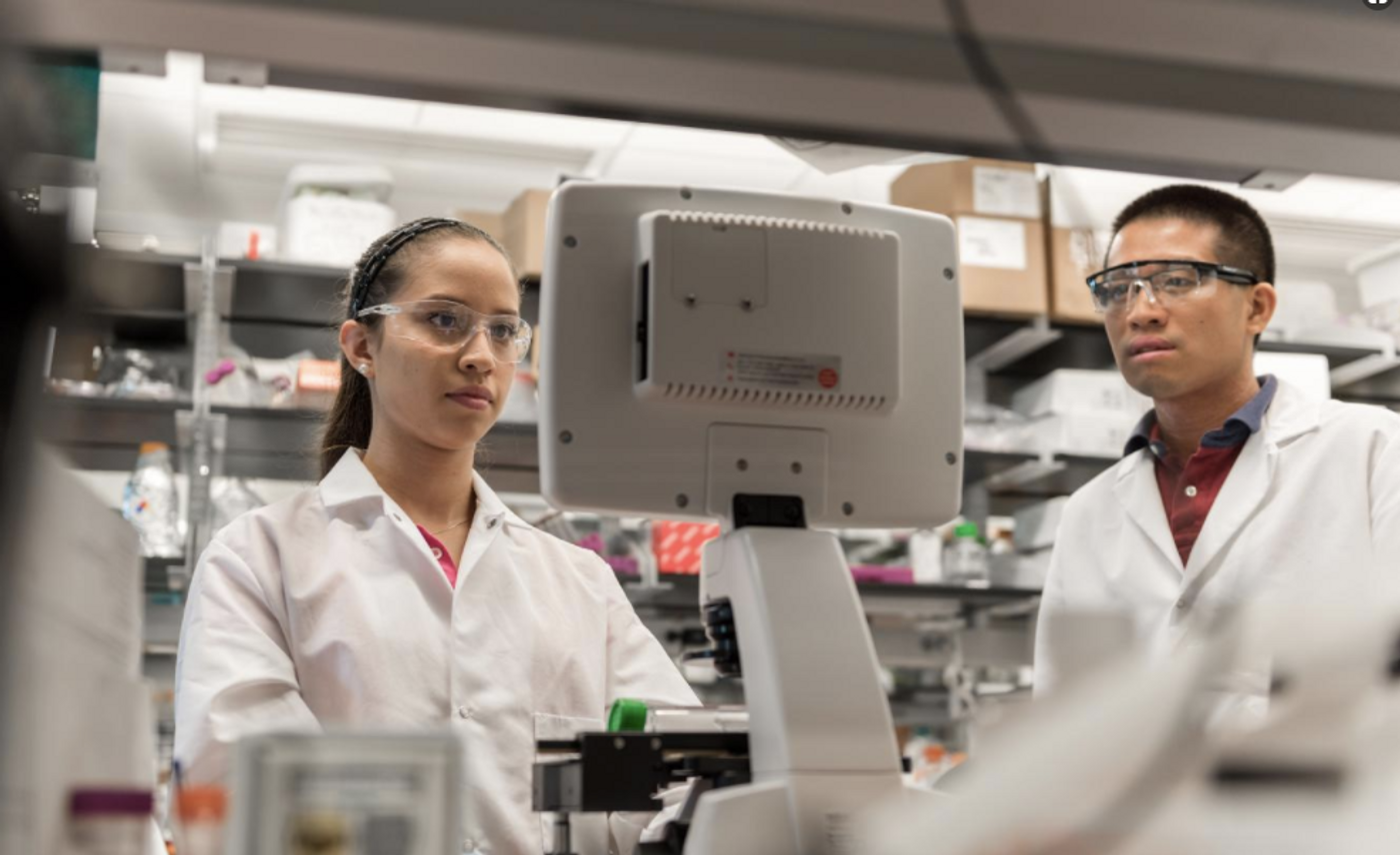 Postdoctoral Fellow Randall Toy and Research Experience for Undergraduates (REU) Program student Angela Jimenez monitor a test underway in the research laboratory of Krishnendu Roy at Georgia Tech. / Credit: Rob Felt, Georgia Tech