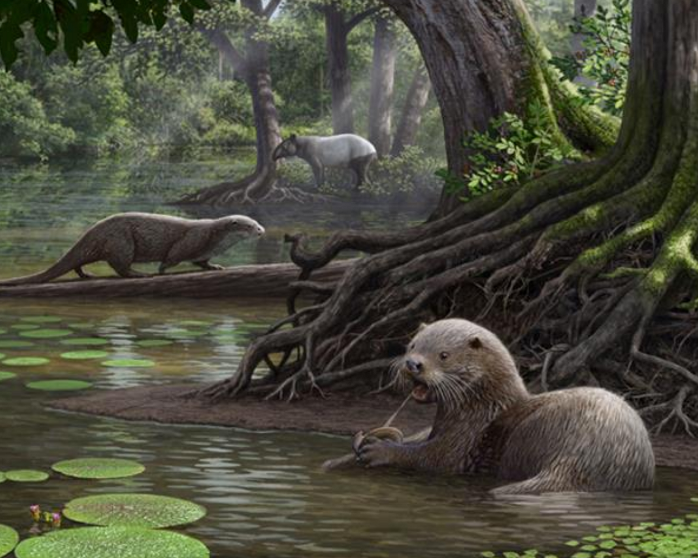 An artist's impression of the massive new otter species in its natural habitat, 6.1 million years ago.