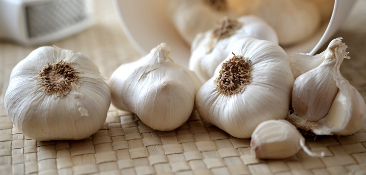 Garlic may be a good way to fight chronic infections. / Image credit: Pixabay